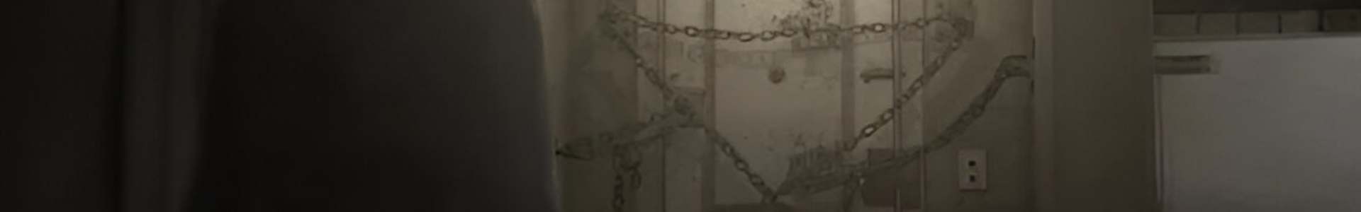 Lost / Forgotten Password Recovery