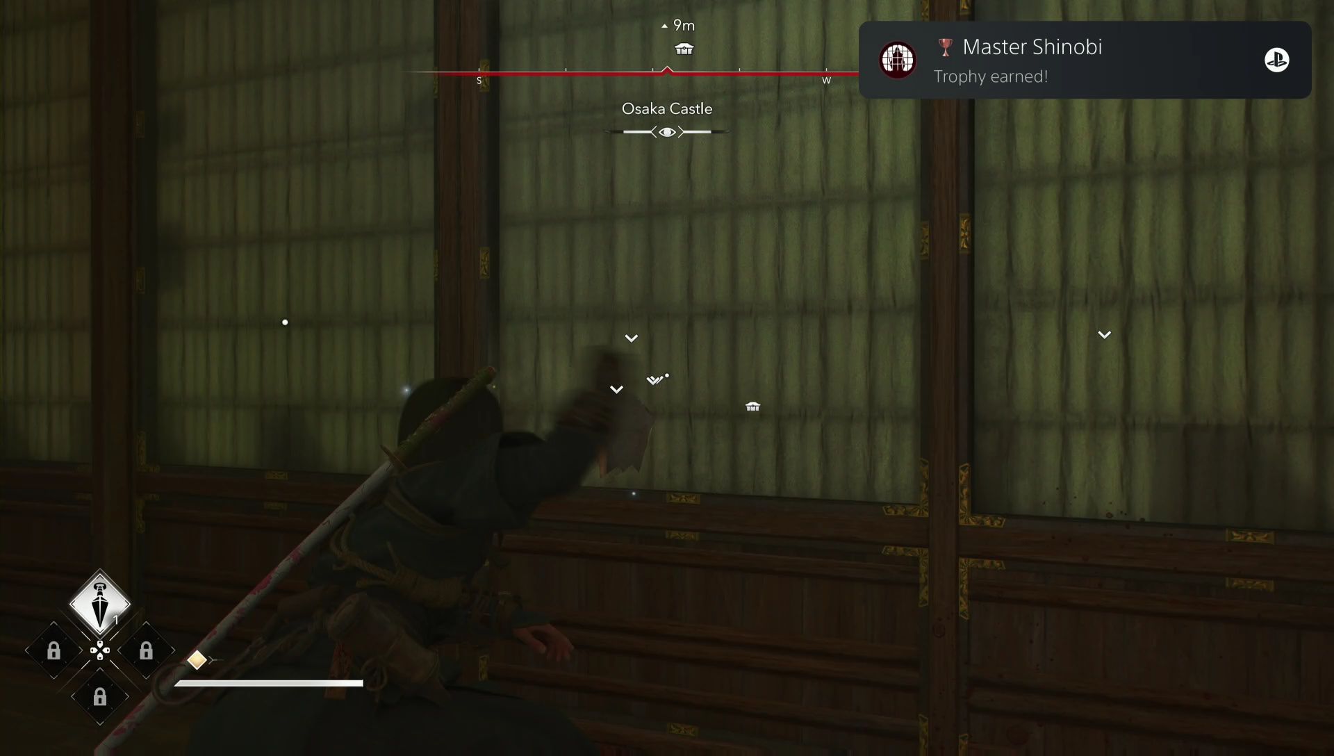 Master Shinobi