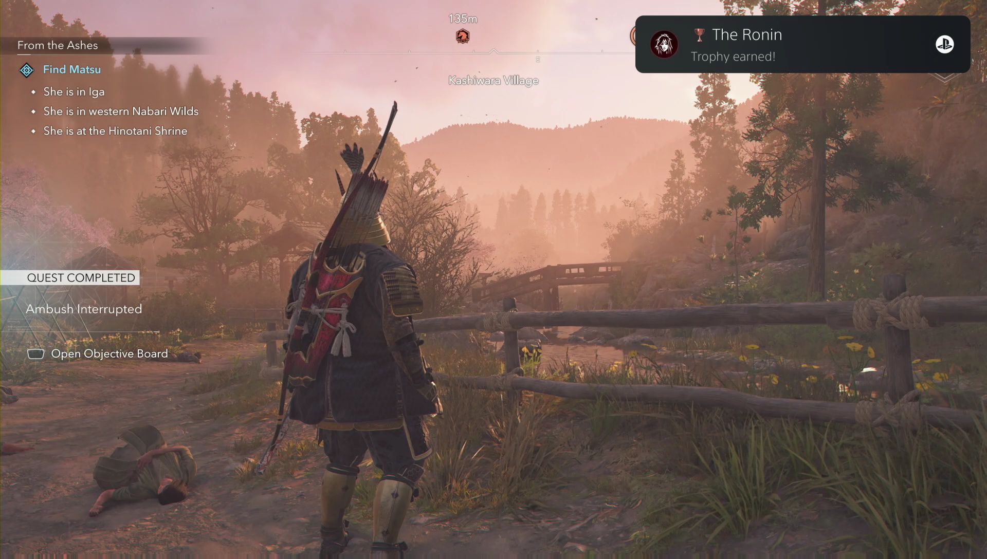 The Ronin